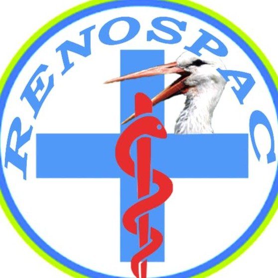 Renospac Guinee